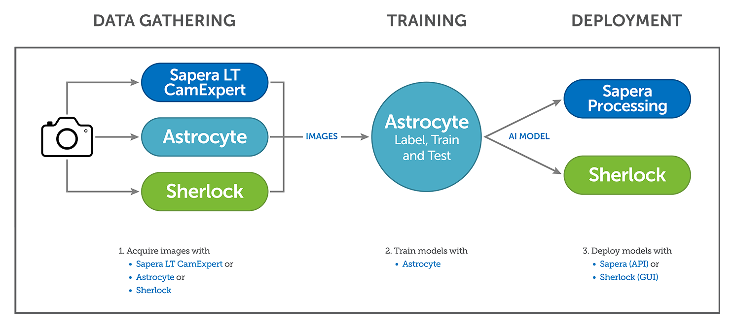 Astrocyte Sapera LT and Processing diagram.png