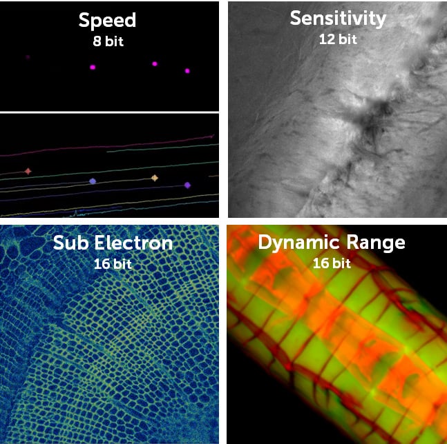 Kinetix-Four-Modes.jpg