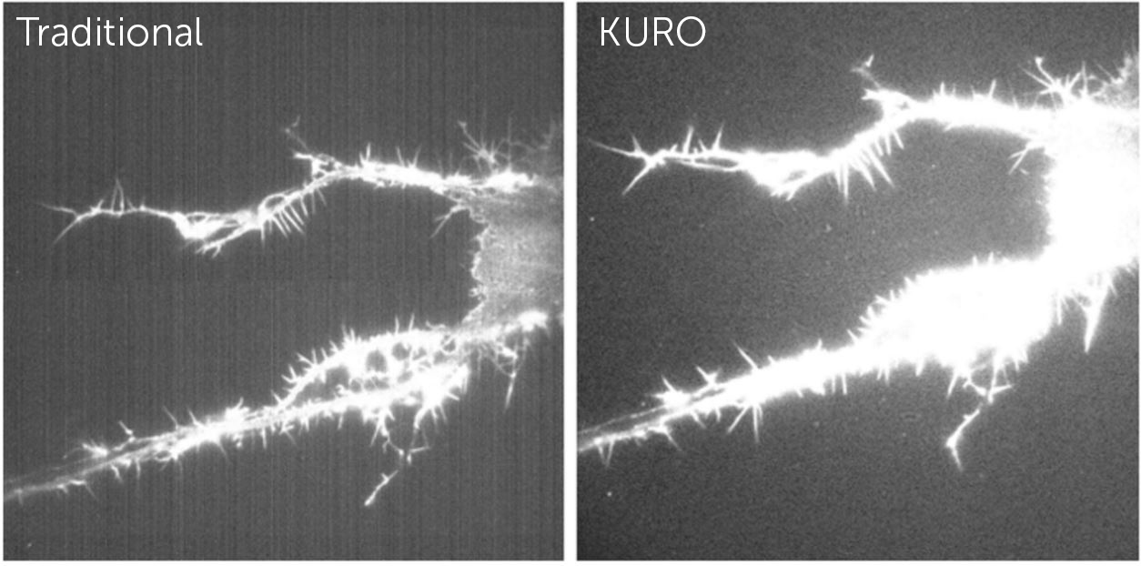 KURO-Fixed-Pattern-Noise-Comparison-with-titles.jpg