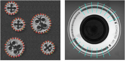 sapera_measurement_440w.jpg