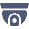 icon-dome-security-camera-tglBlue.png