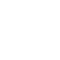 icon-speed-white.png