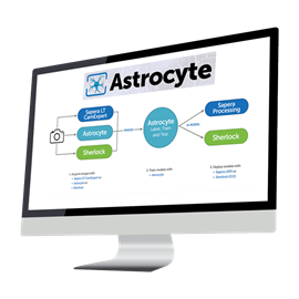 Astrocyte