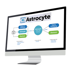 Astrocyte