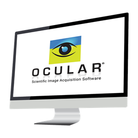 Ocular