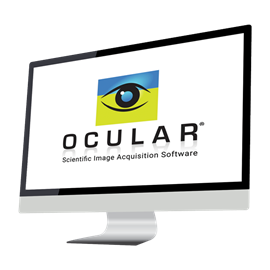 Ocular