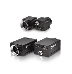 FireWire Cameras