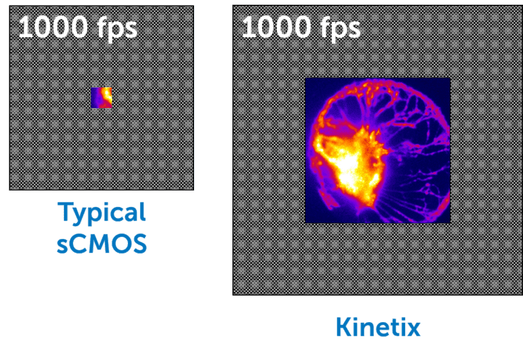 Advice On Choosing A Camera For Calcium Imaging_image_05.png