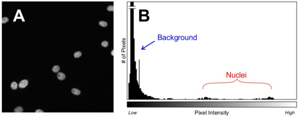 Analysis Programs For High Content Imaging image-3.png