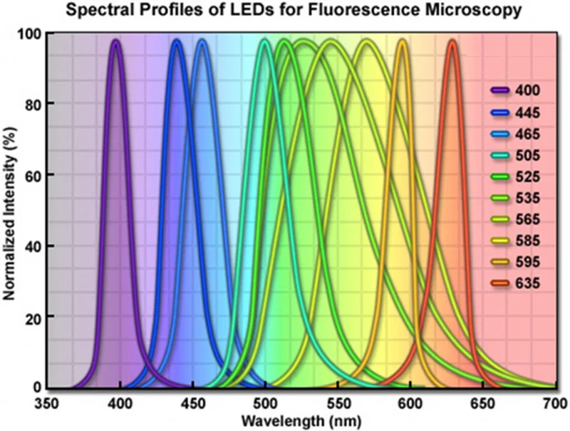 LEDs-1024x773.jpg