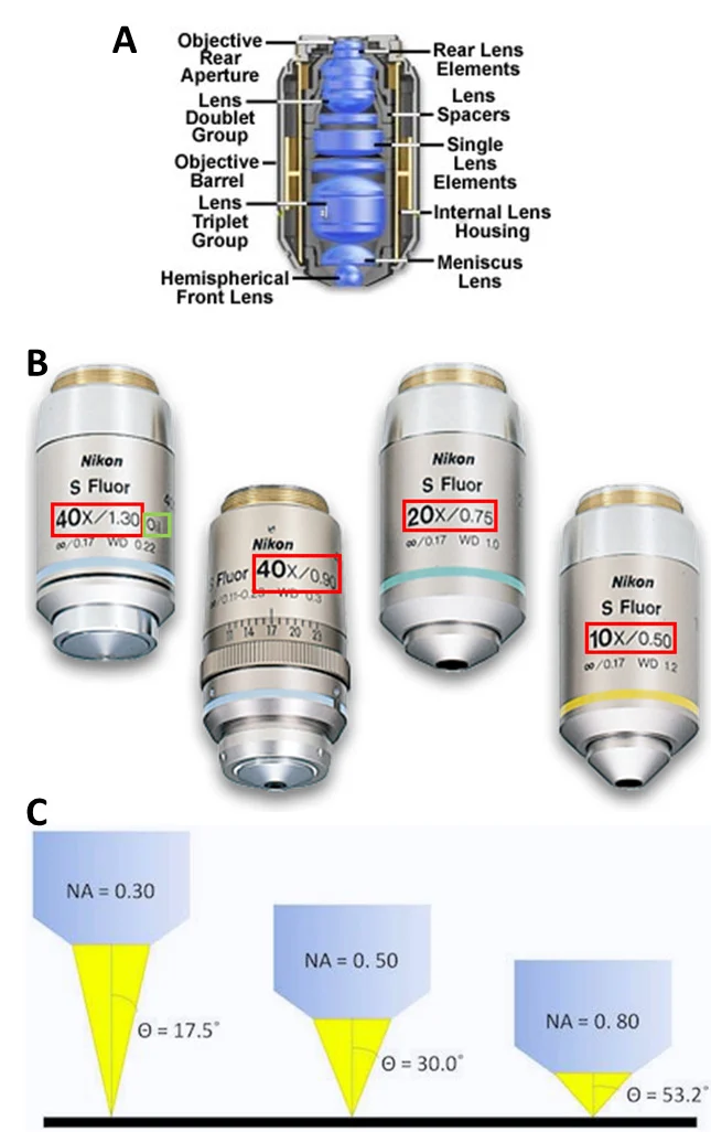 Objective-and-NA.jpg