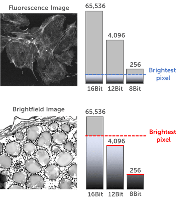 Bit Depth, Full Well, and Dynamic Range_images-5.png