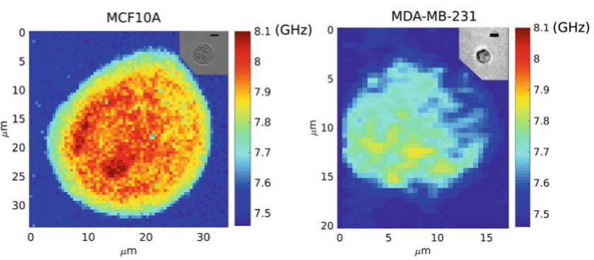 Brillouin Microscopy_images-3.png