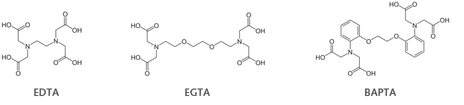 Calcium Imaging_Ca2+_image_1.png