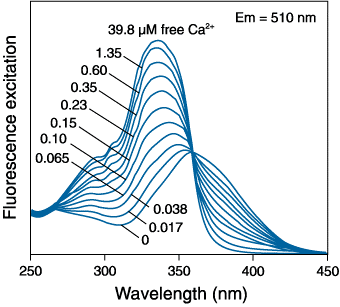 Calcium Imaging_Ca2+_image_3.png