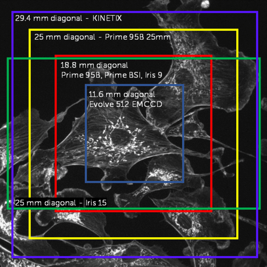 Camera Field Of View_image-1 (1).png