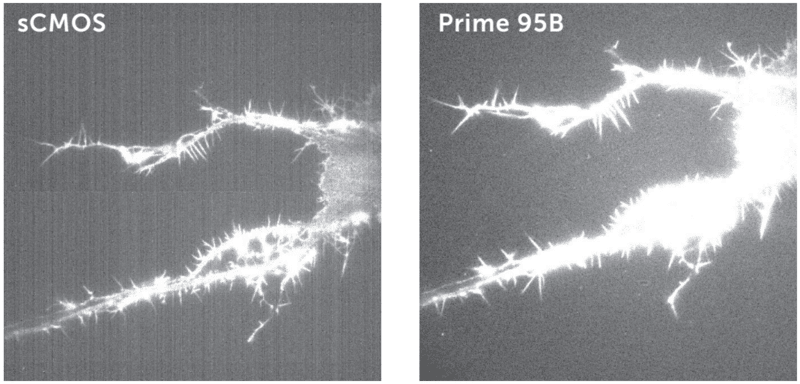 Camera Test Protocol image8.png