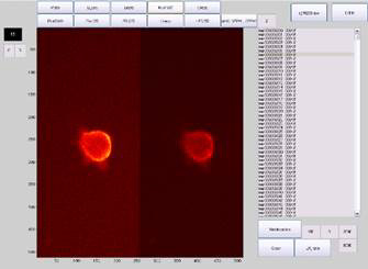 Mori-Electrophysiology-and-FRET-02.png