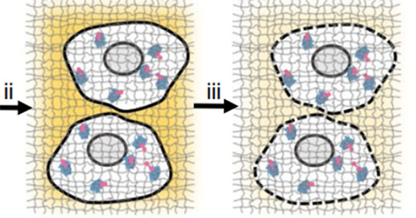 article primary image