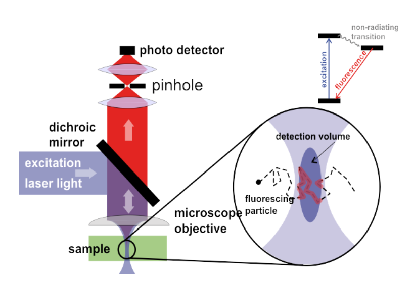 Fluorescence Correlation Spectroscopy (FCS)_images-1.png