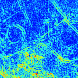 Fluorescence Correlation Spectroscopy-image_1.png