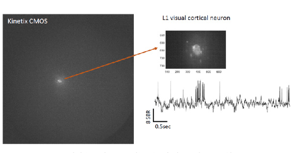 article primary image