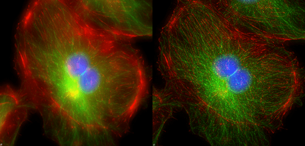 Image Restoration Through Deconvolution image-1.png