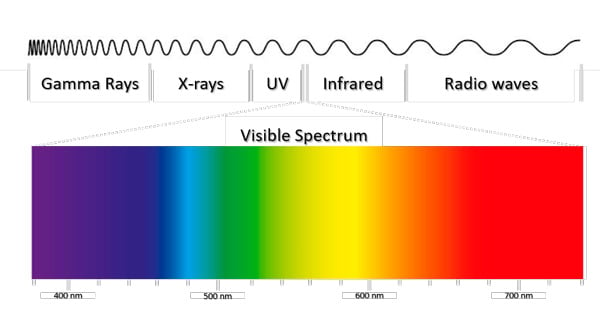 article primary image