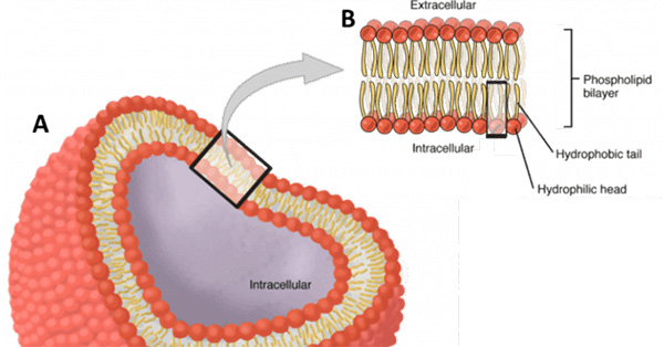 article primary image