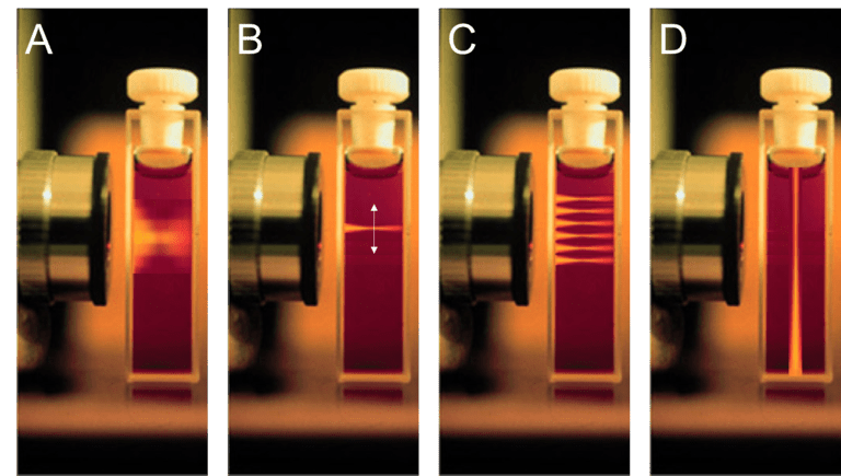 Introduction To Light Sheet Microscopy_images-1.png