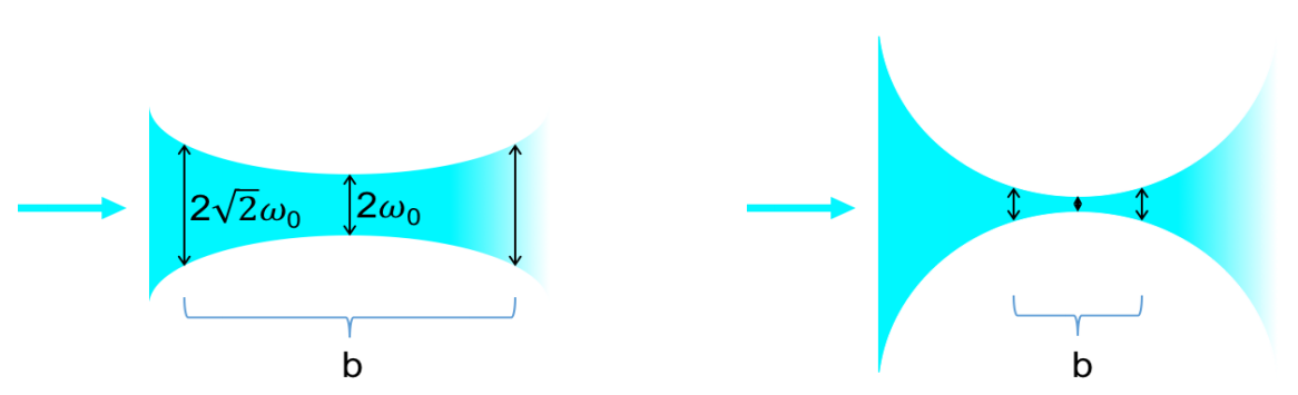 Introduction To Light Sheet Microscopy_images-4.png