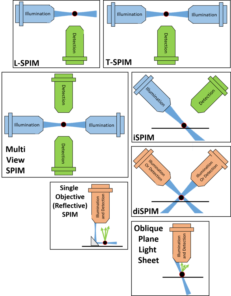 Introduction To Light Sheet Microscopy_images-8.png