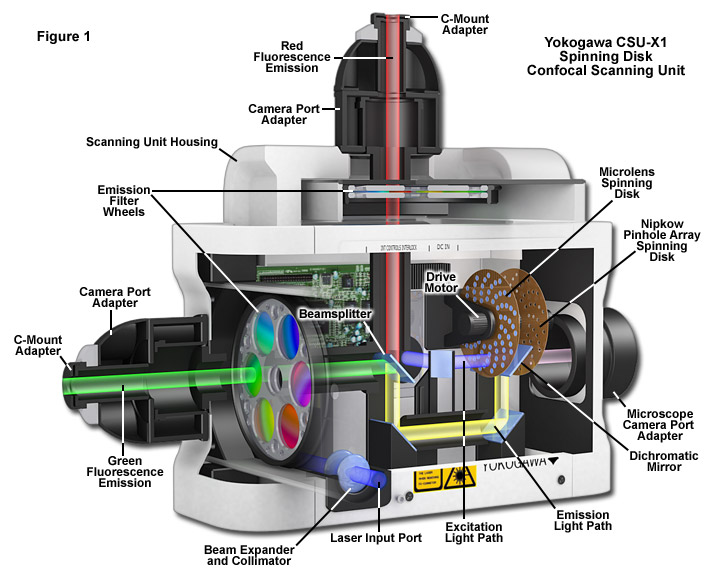 Spinning-Disk-App-Note_5.png