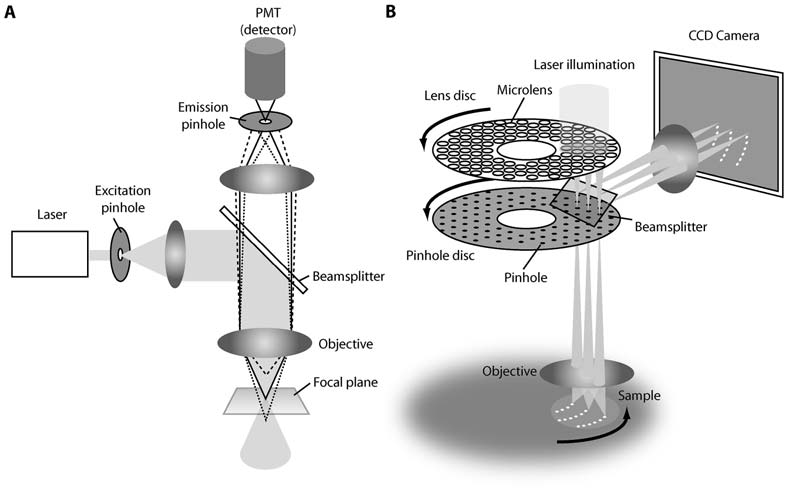 Spinning-Disk-App-Note_6.png