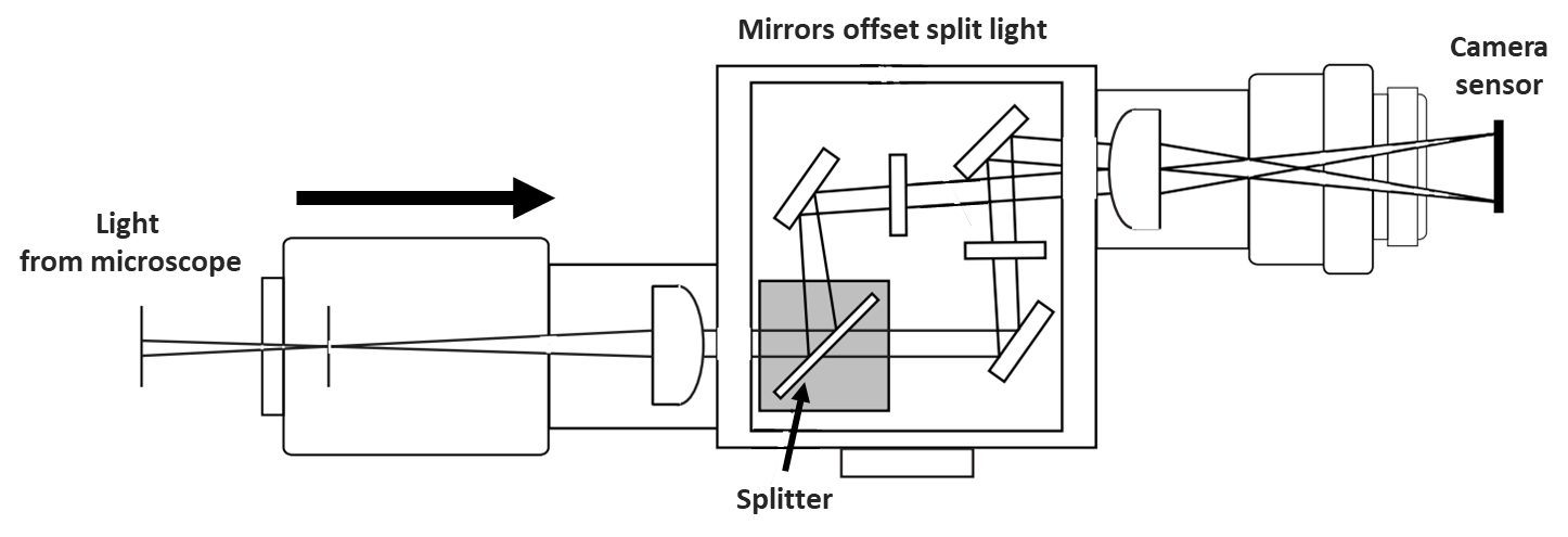 Introduction To Splitters_images-4.png