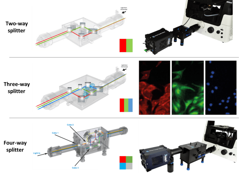 Introduction To Splitters_images-5.png