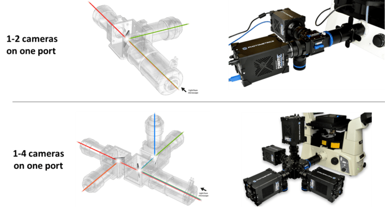 Introduction To Splitters_images-6.png