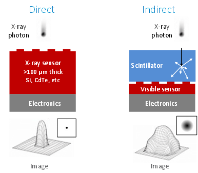 Direct vs indirect.png