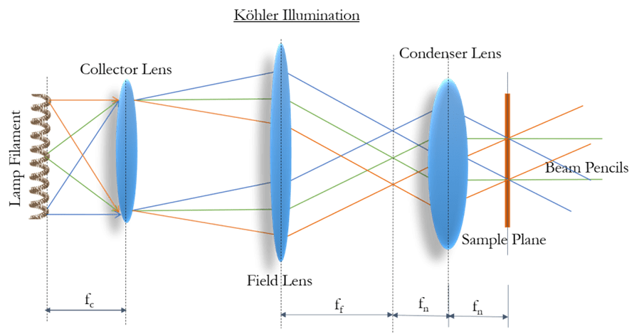 Köhler Illumination_image_02.png