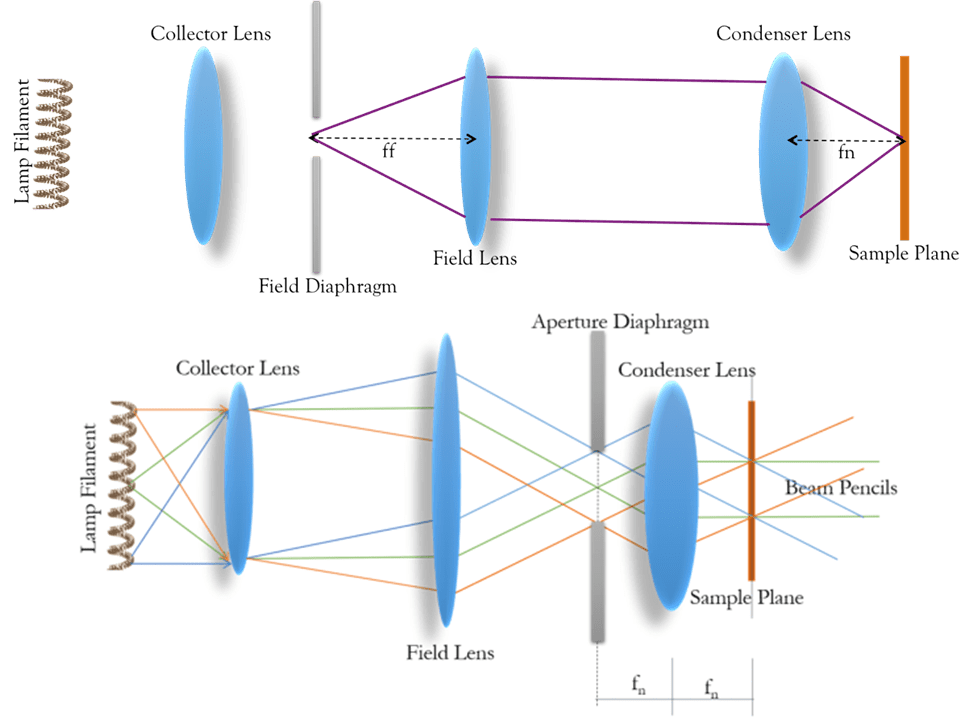 Köhler Illumination_image_03.png