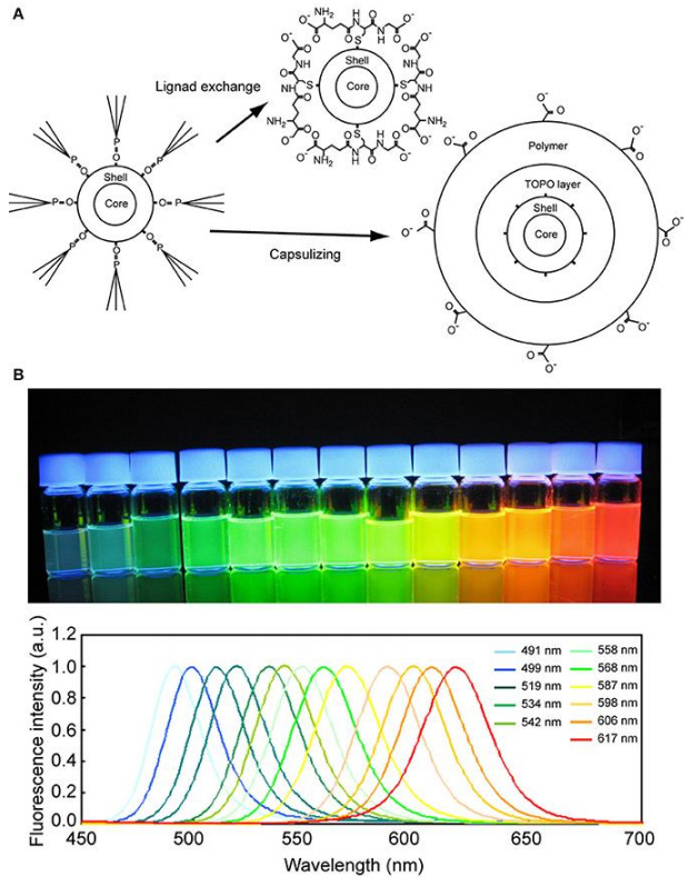 R Quantum-Dots.jpg