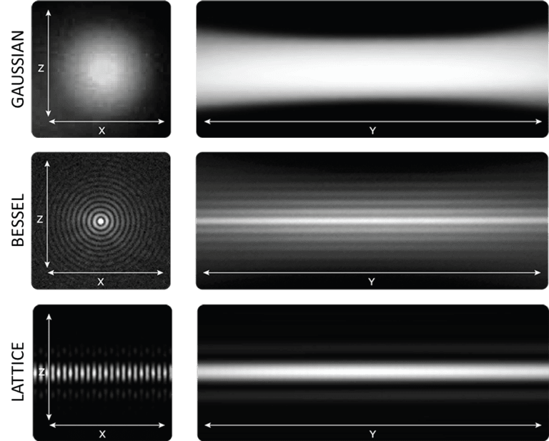 Lattice Light Sheet_images-3.png