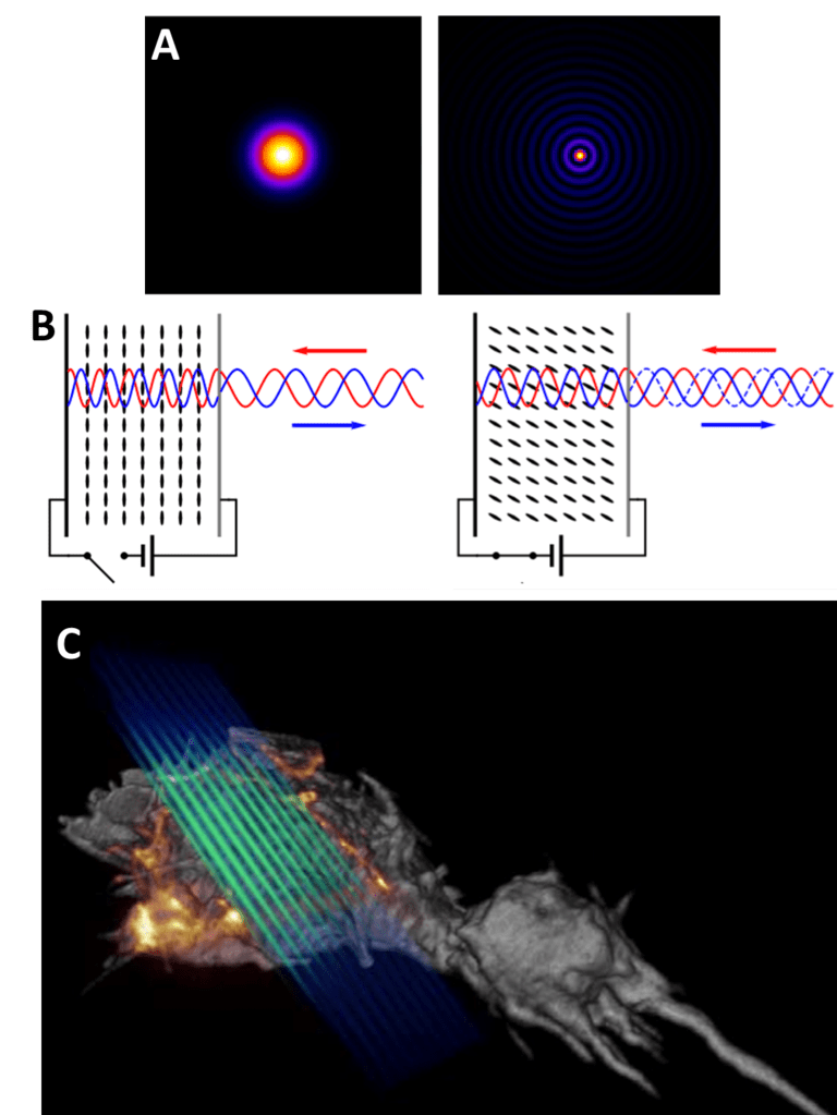 Lattice Light Sheet_images-4.png