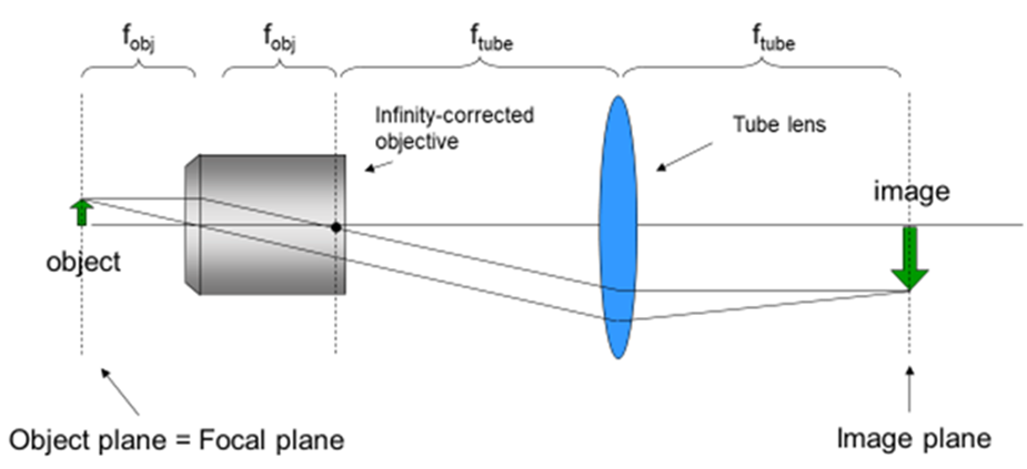 Lenses and Optics_image_05.png