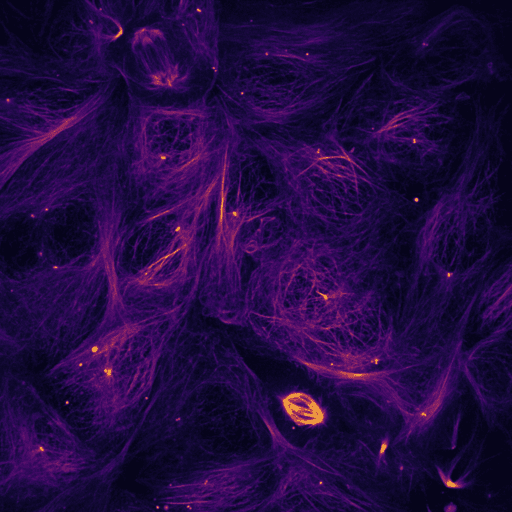 Maximizing Data Throughput in Spinning Disk Confocal_image_3.png