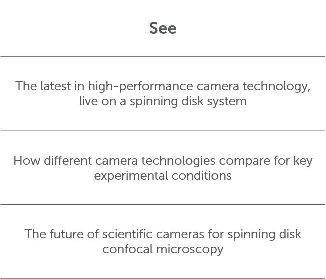 Modernizing Spinning Disk Confocal Microscopy_image_7.png