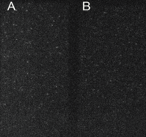 Single-molecule-FRET.png