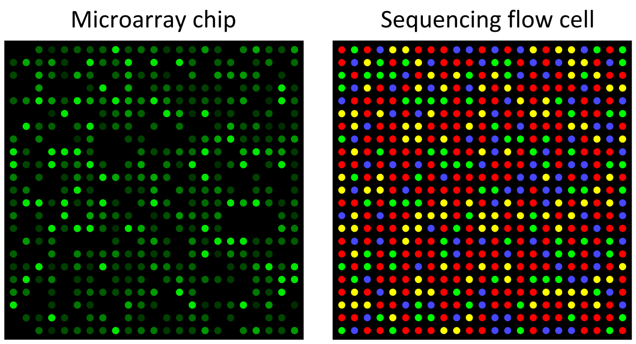 Multiomics 2.png