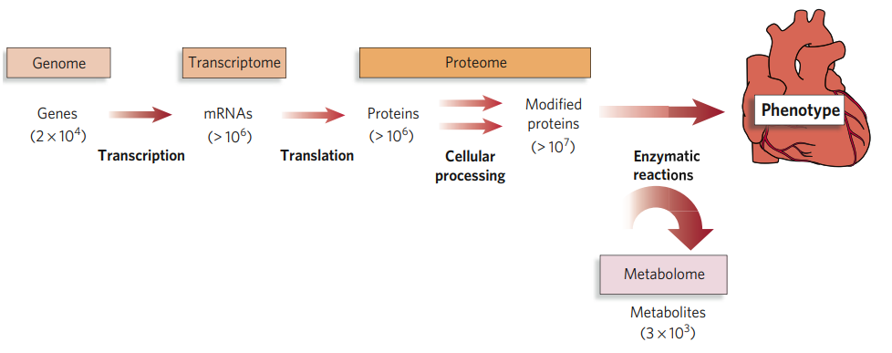 Multiomics image1.png