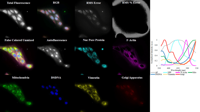 Novel Hyperspectral Imaging image.png